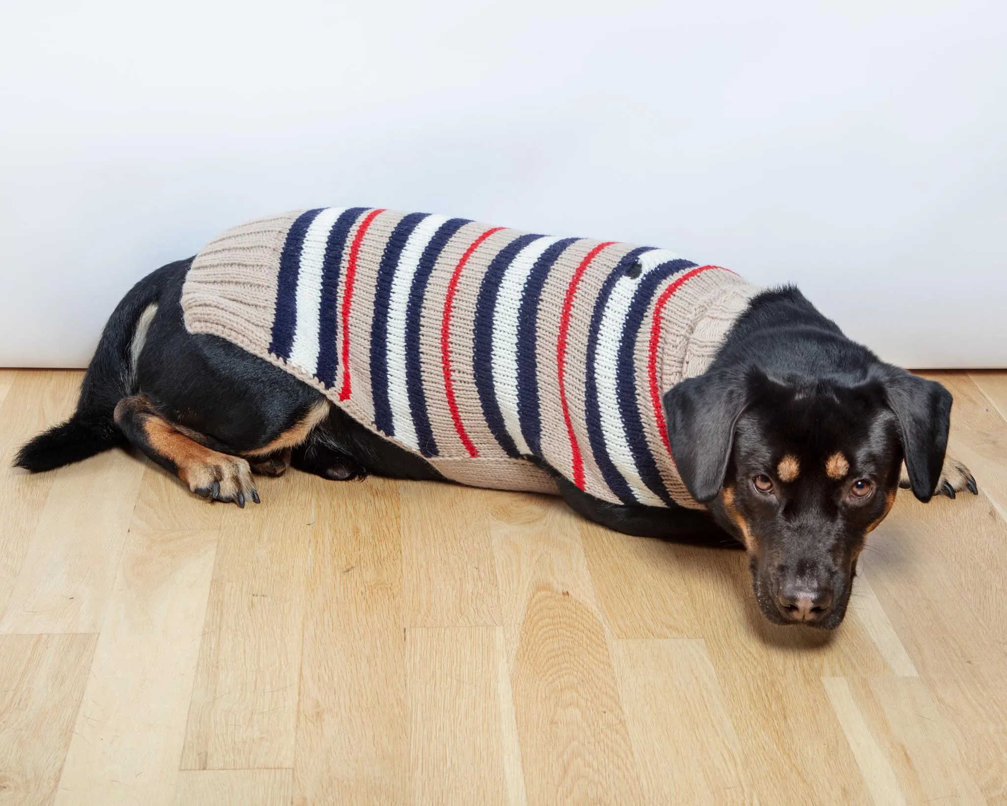 Bentley Alpaca Stripe Wool Dog Sweater (FINAL SALE)