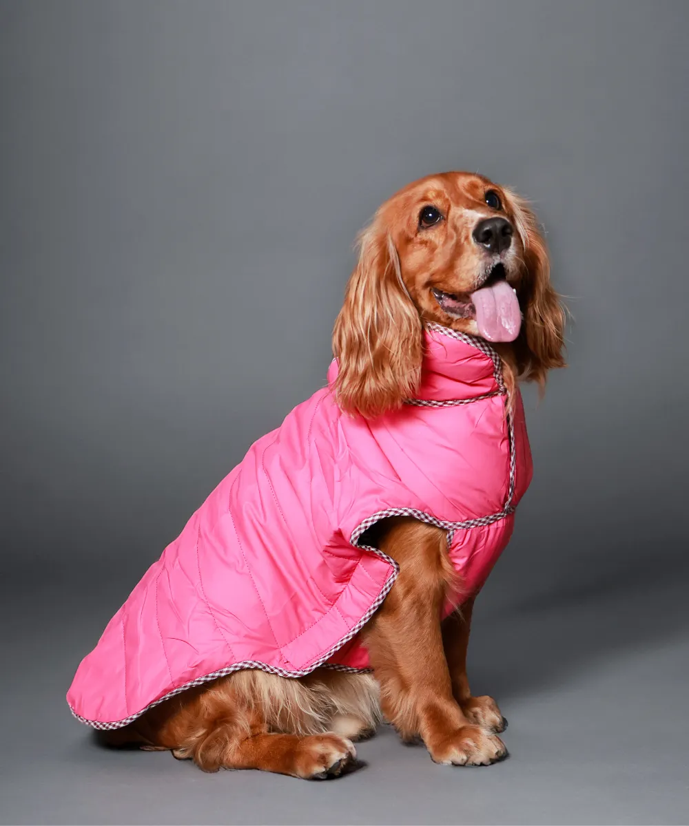 Dog Jacket-Blue