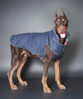 Dog Jacket-Blue