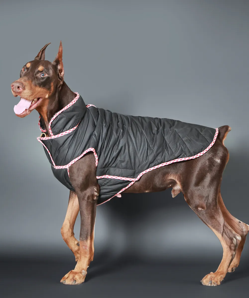 Dog Jacket-Blue