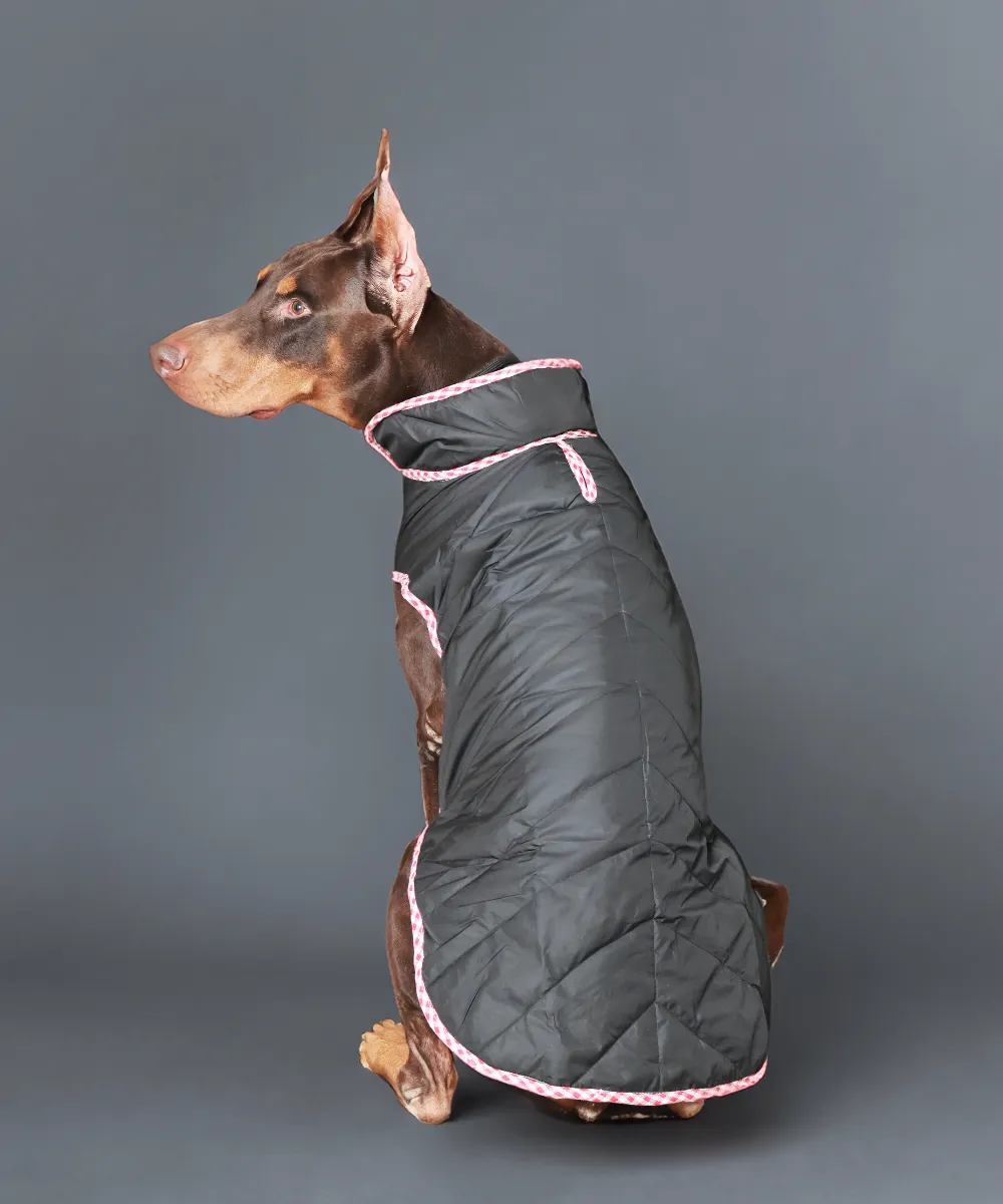 Dog Jacket-Blue