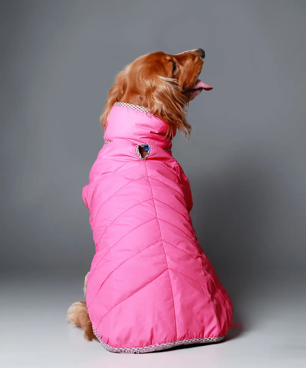 Dog Jacket-Blue