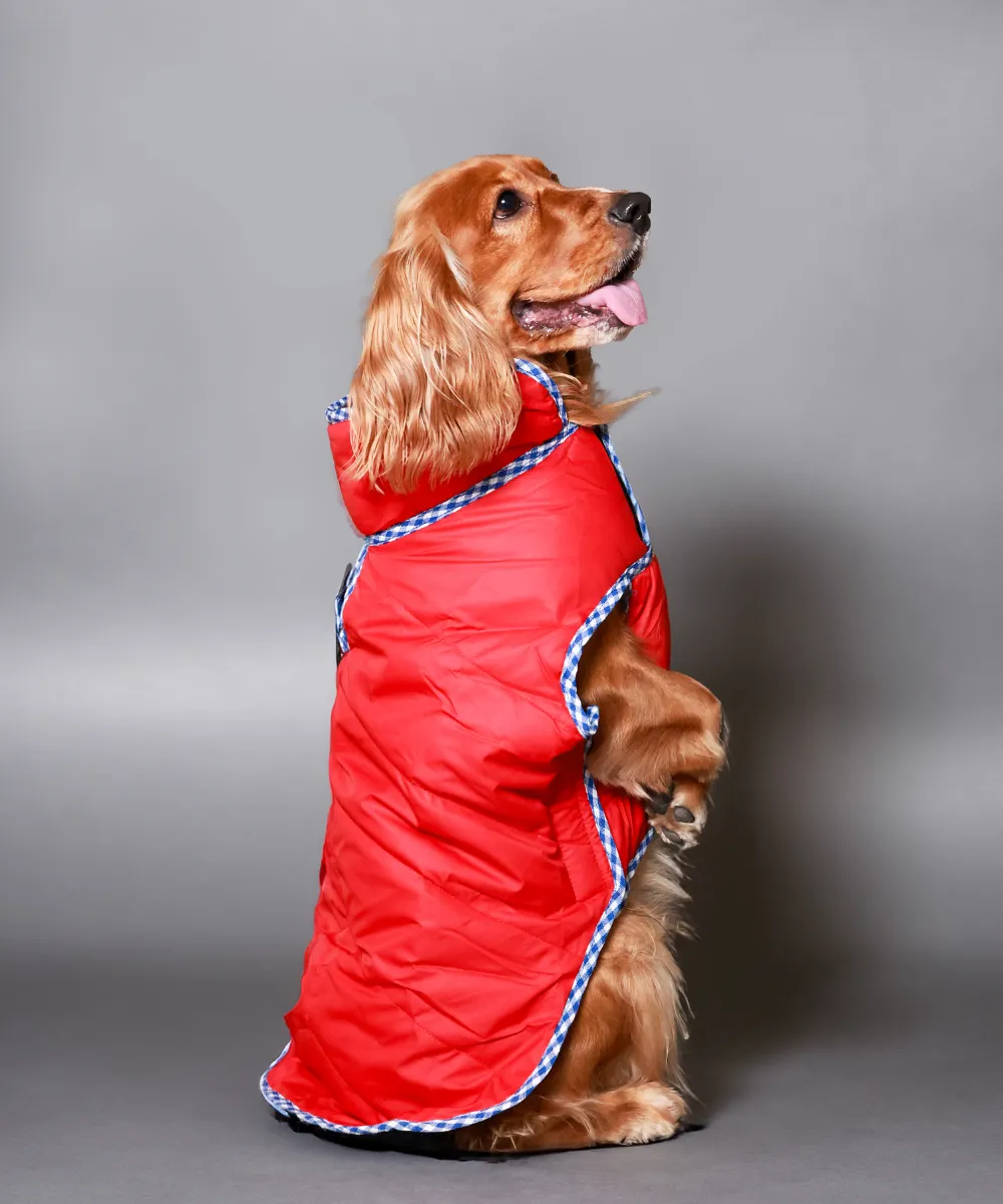 Dog Jacket-Blue