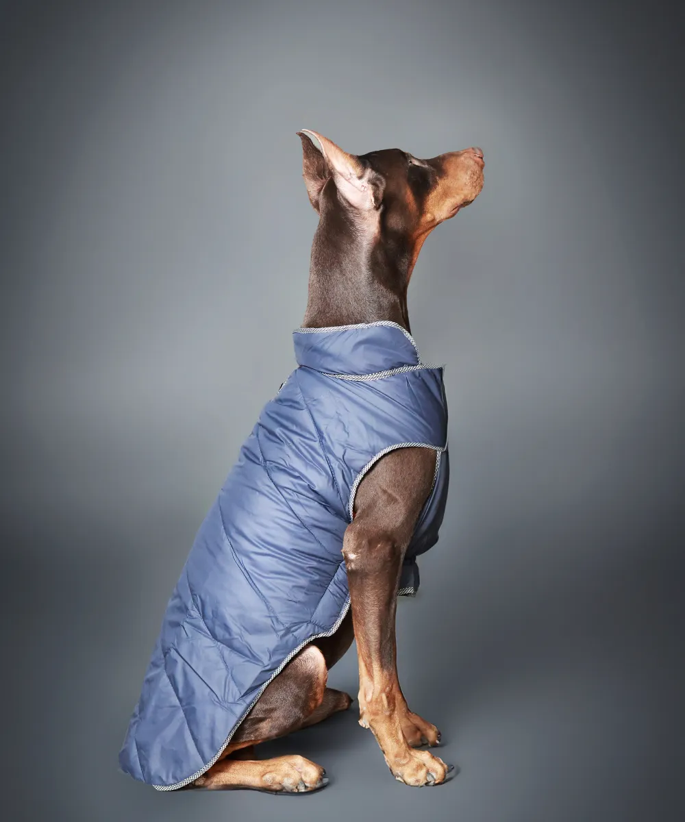 Dog Jacket-Blue